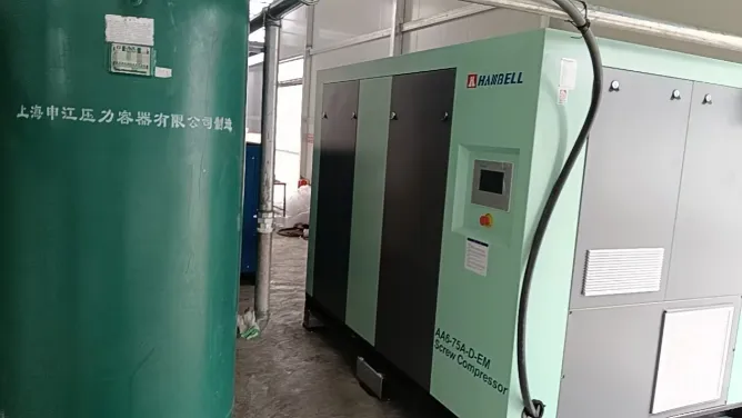 الاحتراف يكسب الثقة: مهندسو Yuzhen ينجحون في إكمال تركيب وتشغيل نظام ضاغط الهواء Hanbell في مصنع حاويات التعبئة والتغليف في الإمارات العربية المتحدة